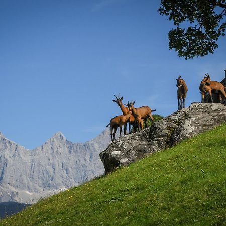 Vila Strickhof Schladming Exteriér fotografie