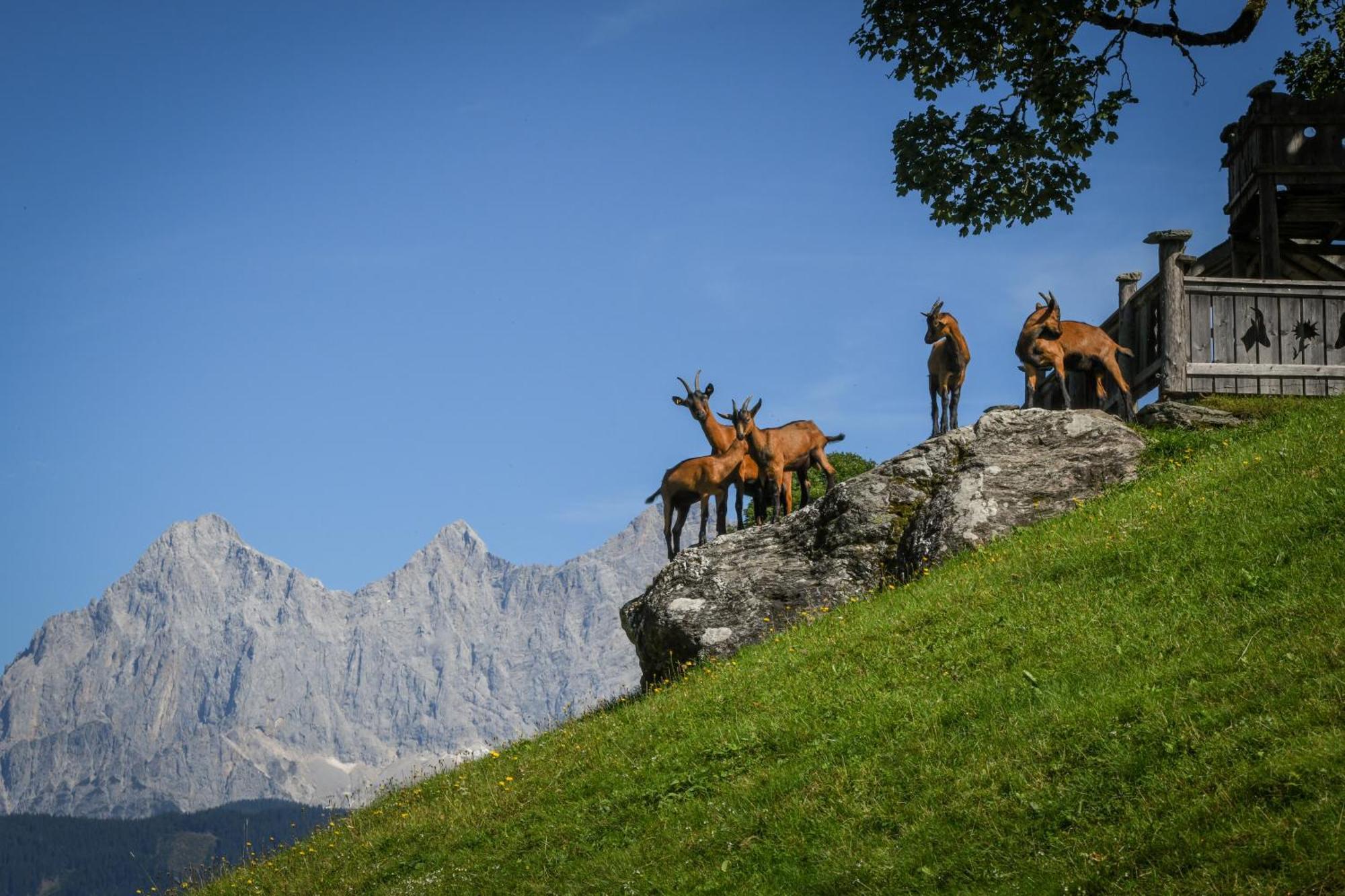 Vila Strickhof Schladming Exteriér fotografie