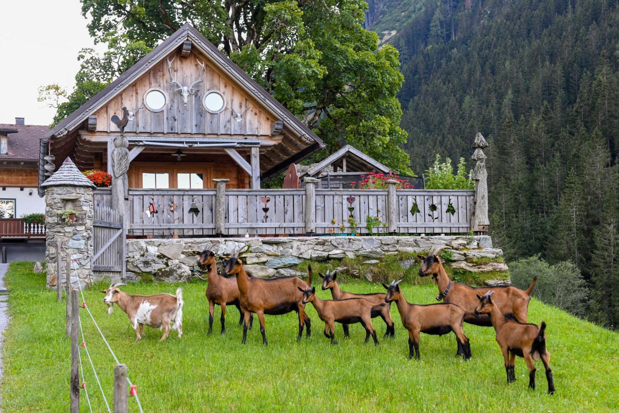 Vila Strickhof Schladming Exteriér fotografie