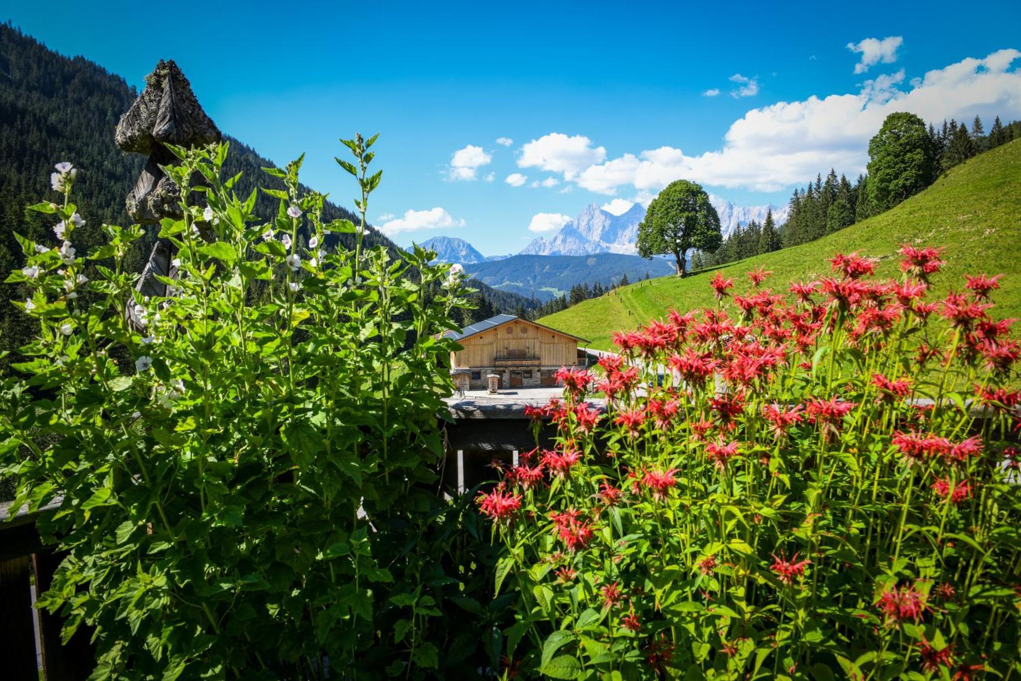 Vila Strickhof Schladming Exteriér fotografie
