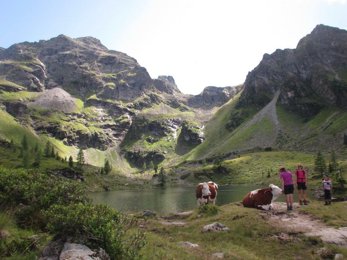 Vila Strickhof Schladming Exteriér fotografie
