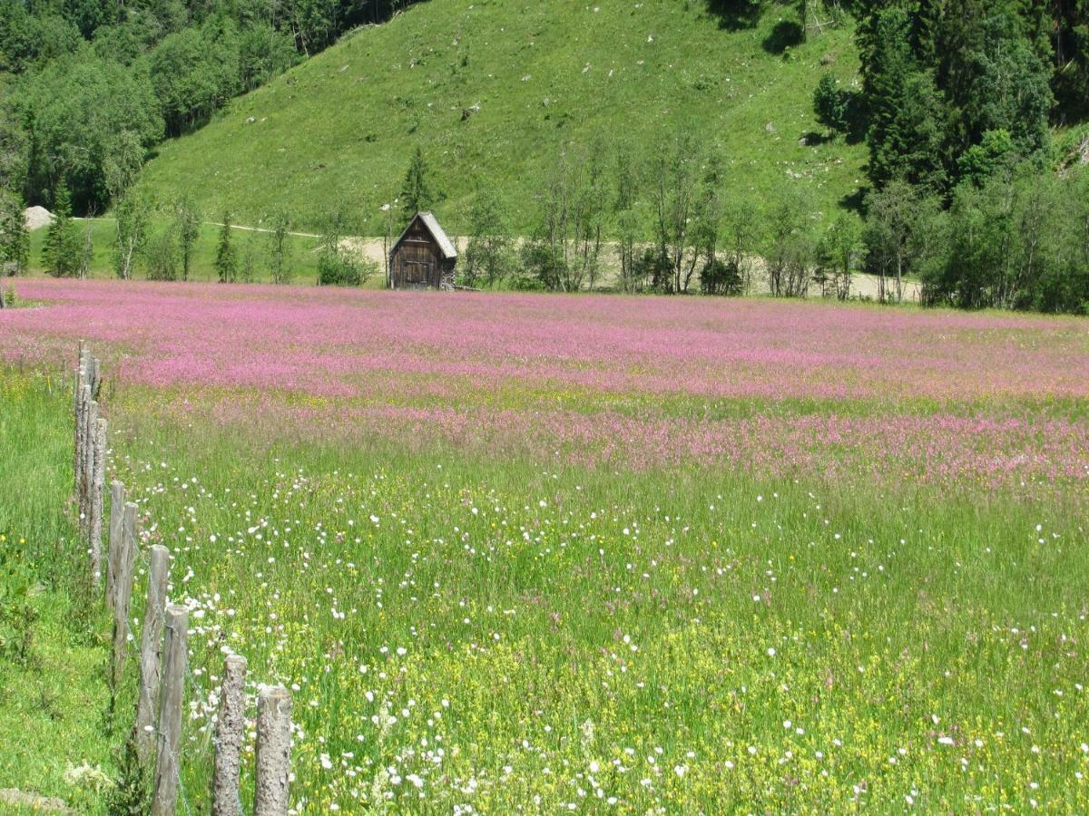 Vila Strickhof Schladming Exteriér fotografie